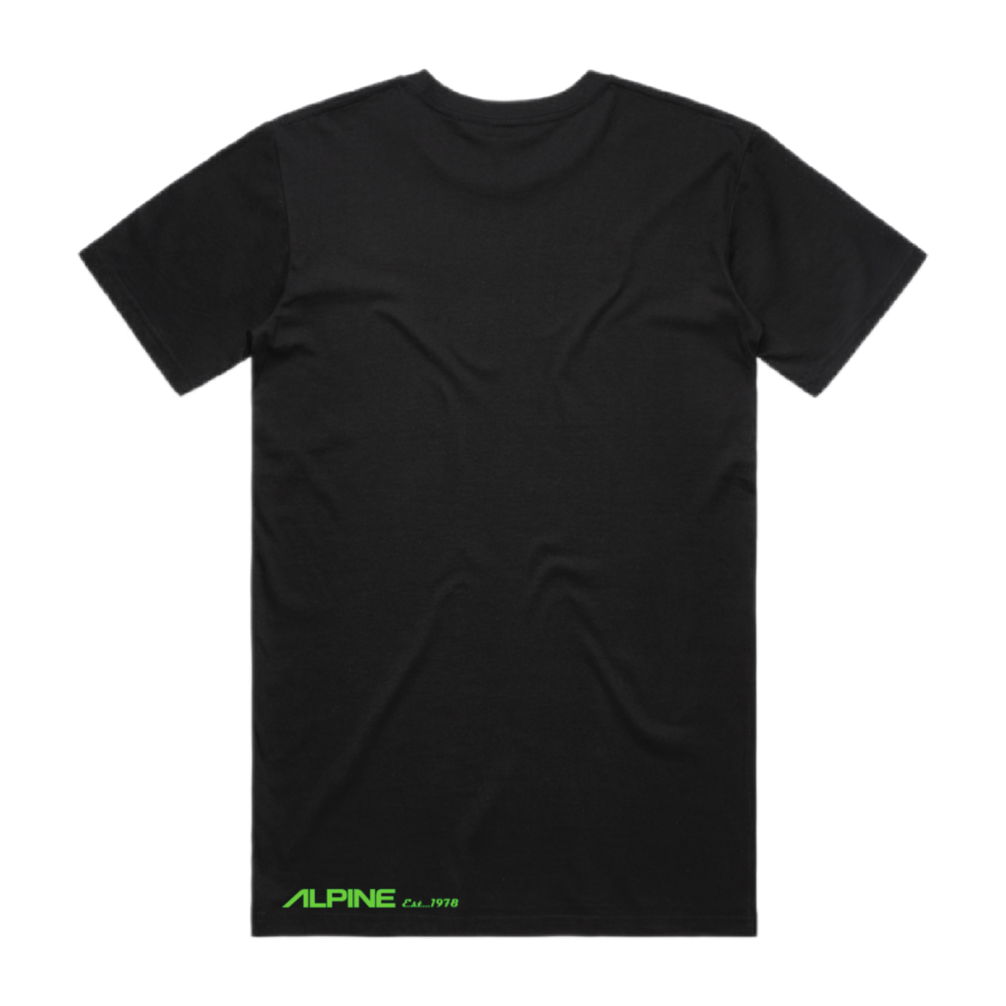 Alpine green vintage graphic t-shirt back