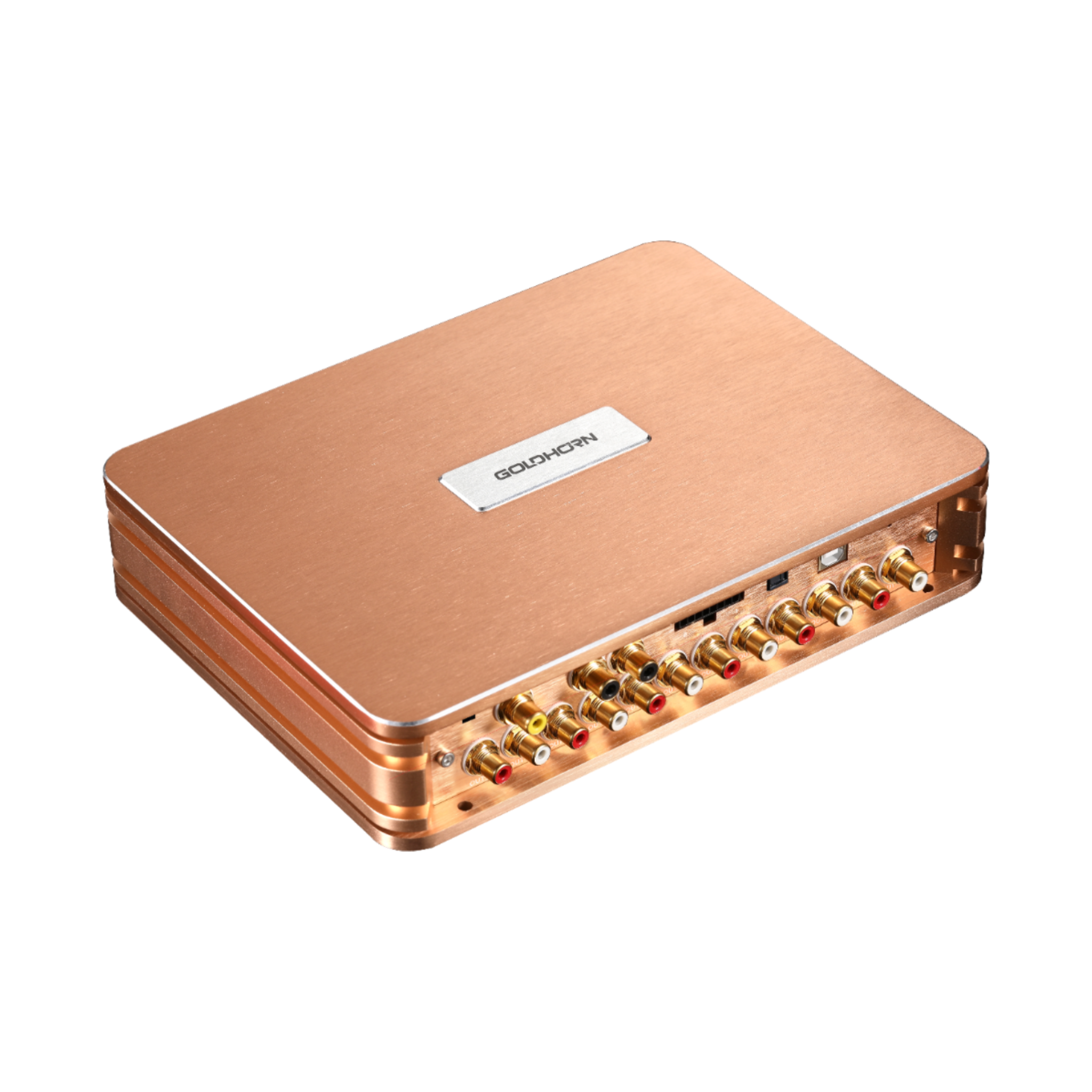 Goldhorn P2 DSP Pro V2.0 — 12 Channel DSP with Hi-Res DSD Player