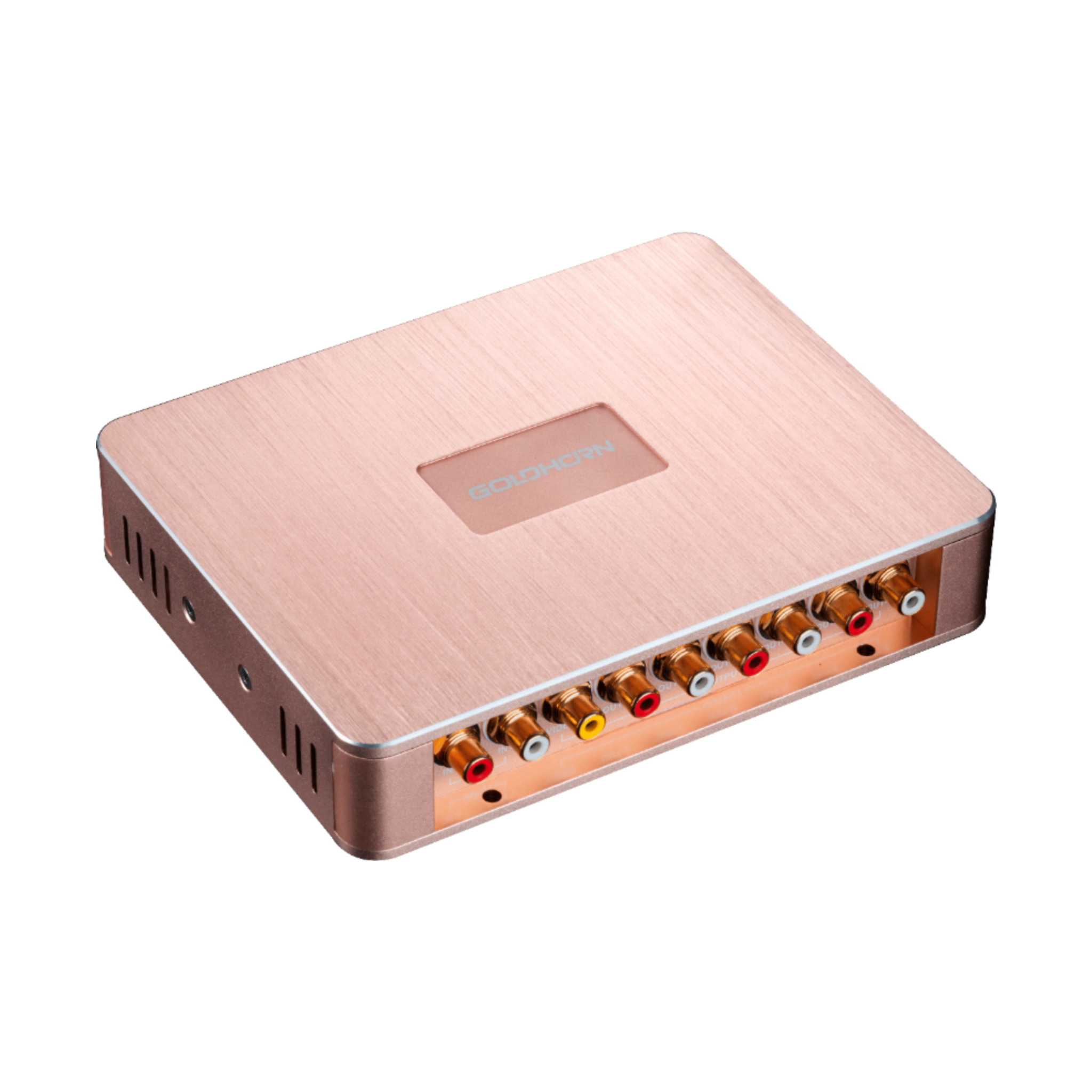 Goldhorn P1 DSPA DSD player with DSP amplifier top view