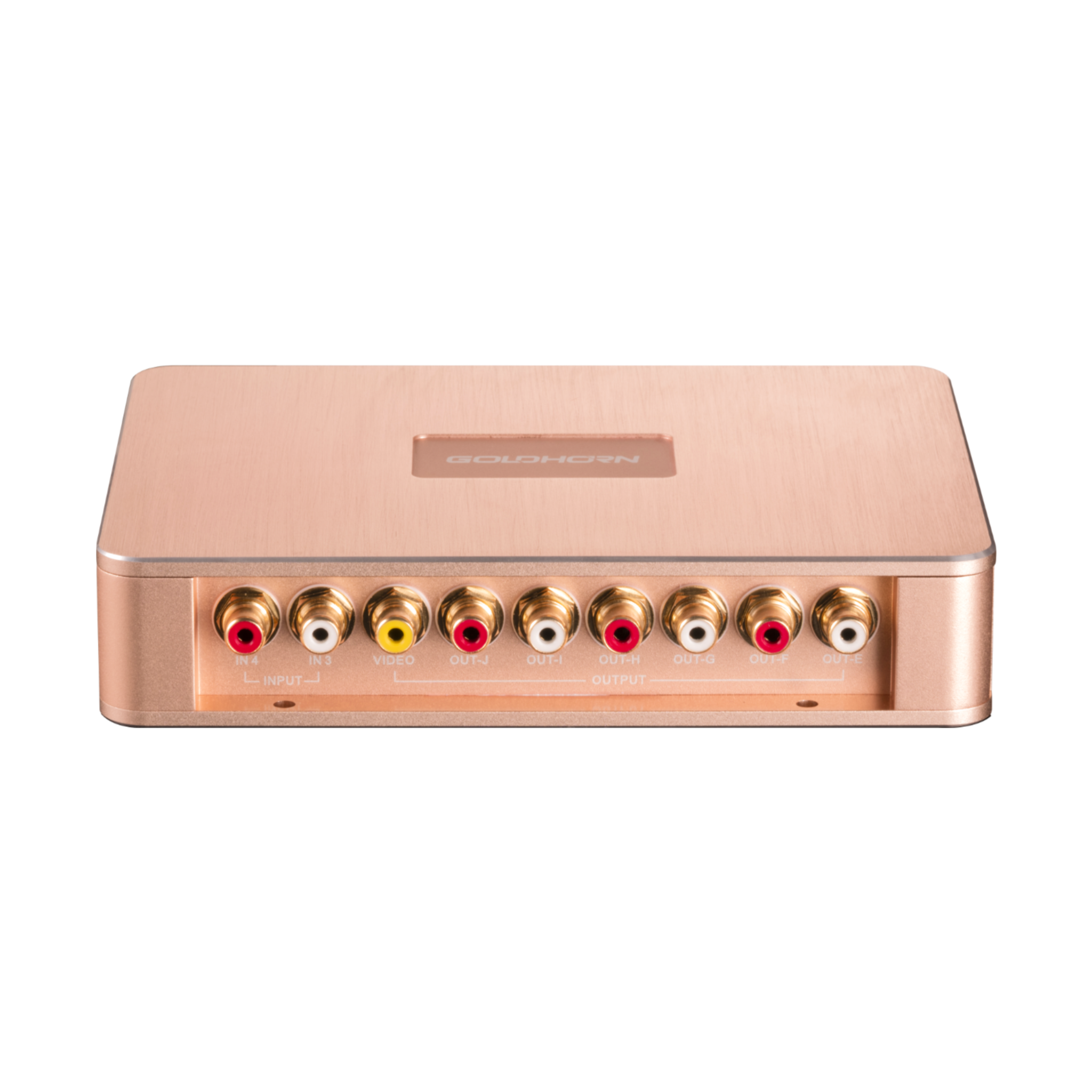 Goldhorn P1 DSPA DSD player with DSP amplifier front