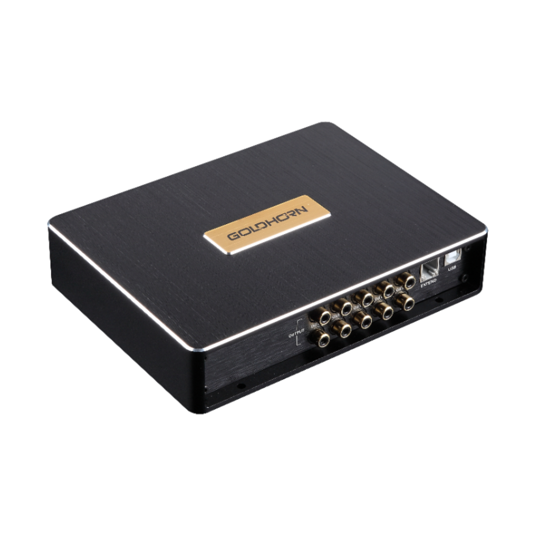 Goldhorn DSP10 10 channel DSP angled view
