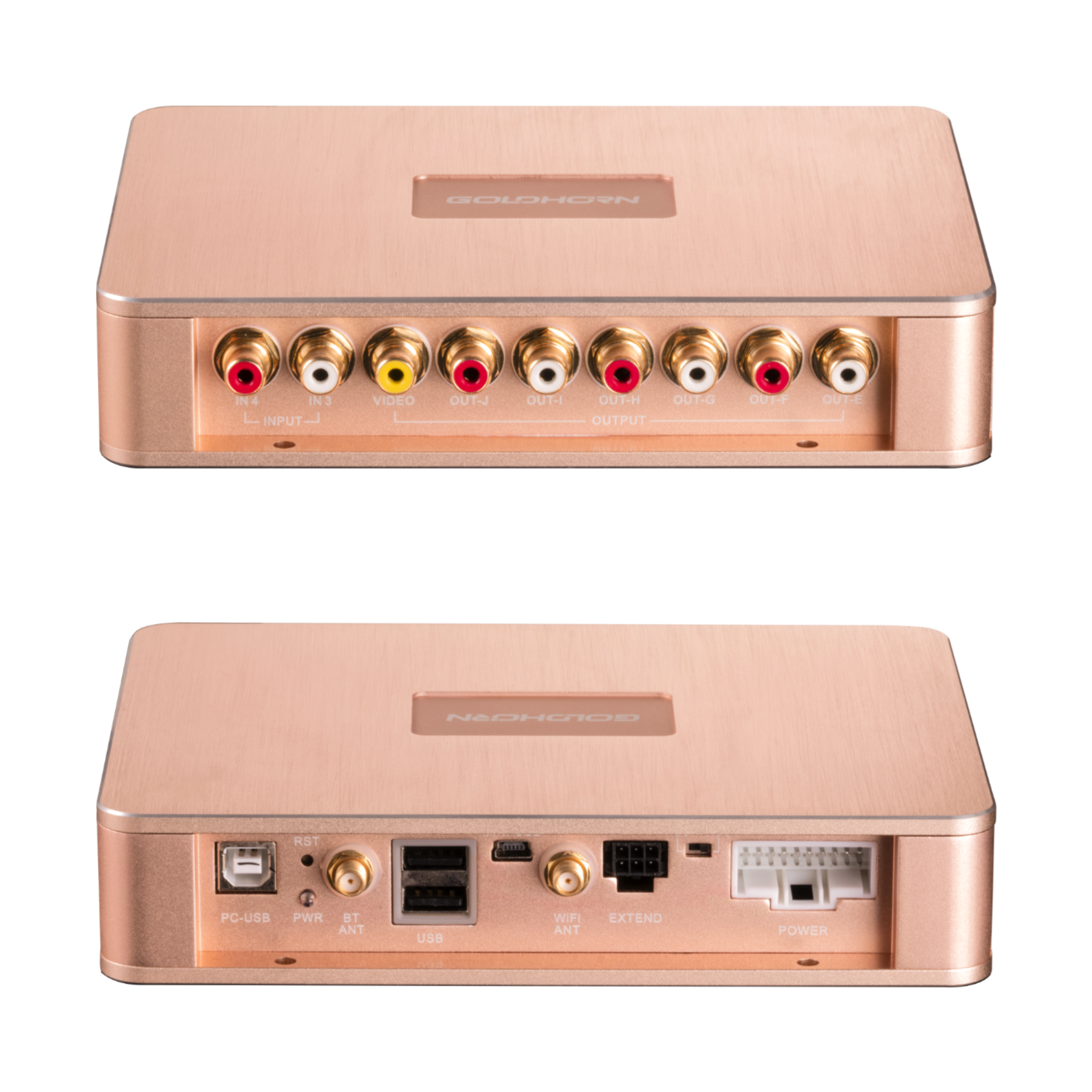 Goldhorn P1 DSPA DSD player with DSP amplifier