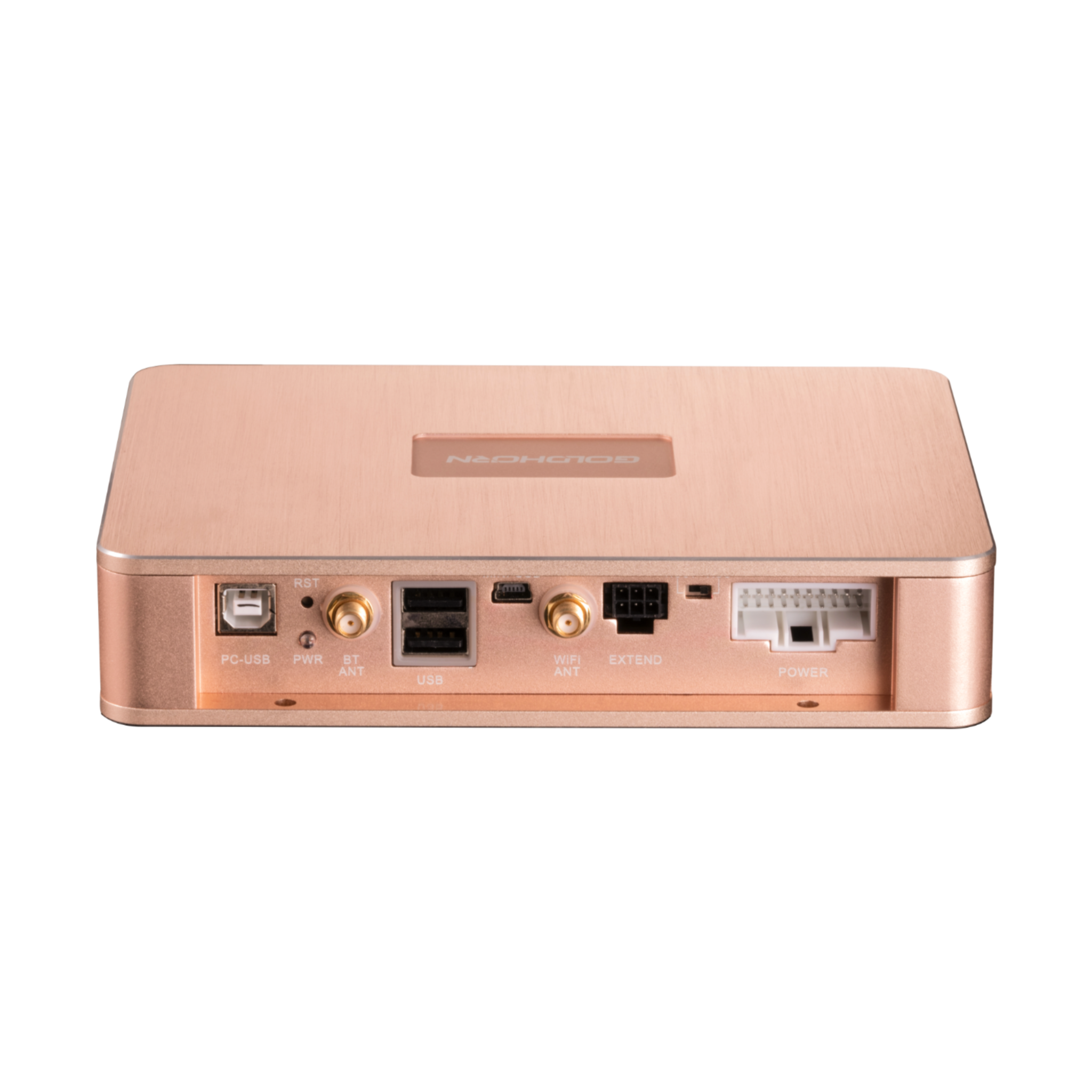 Goldhorn P1 DSPA DSD player with DSP amplifier back