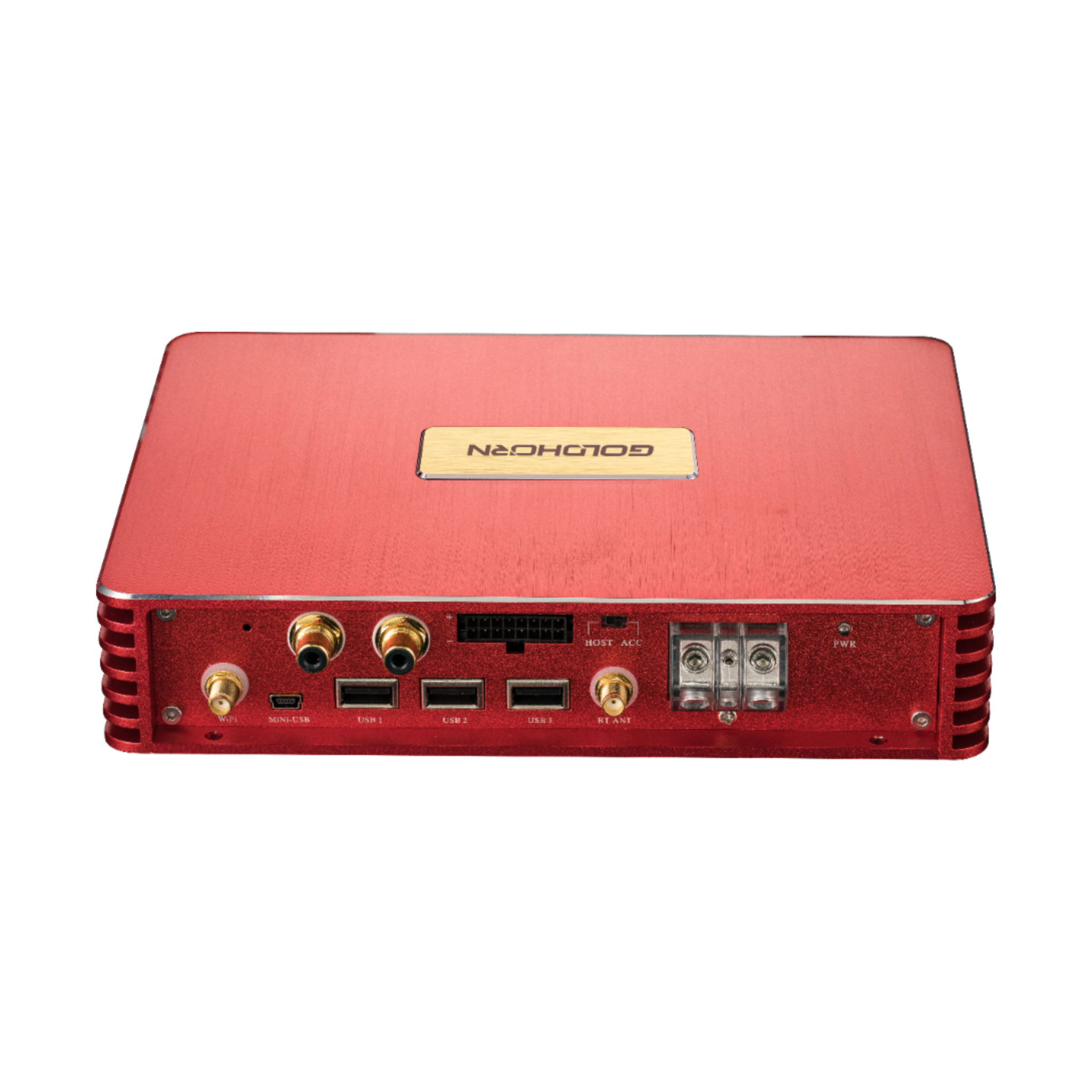 Goldhorn P2 DSPA Pro DSD player and amplifier back