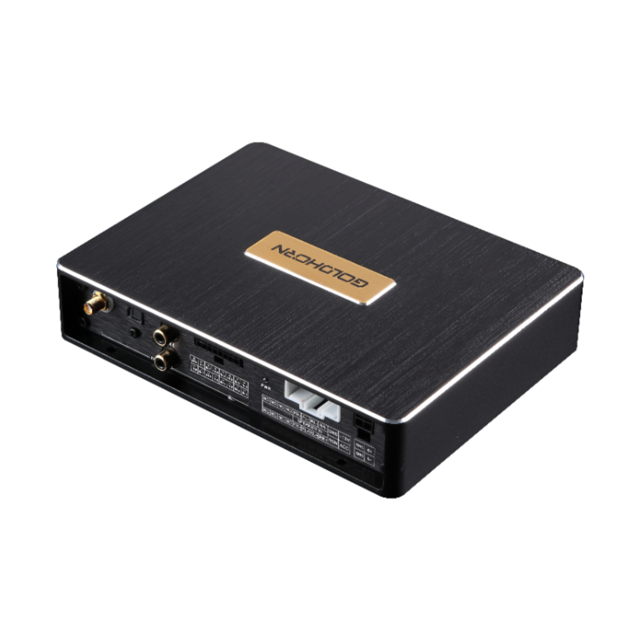 Goldhorn DSP10 10 channel DSP back angled view