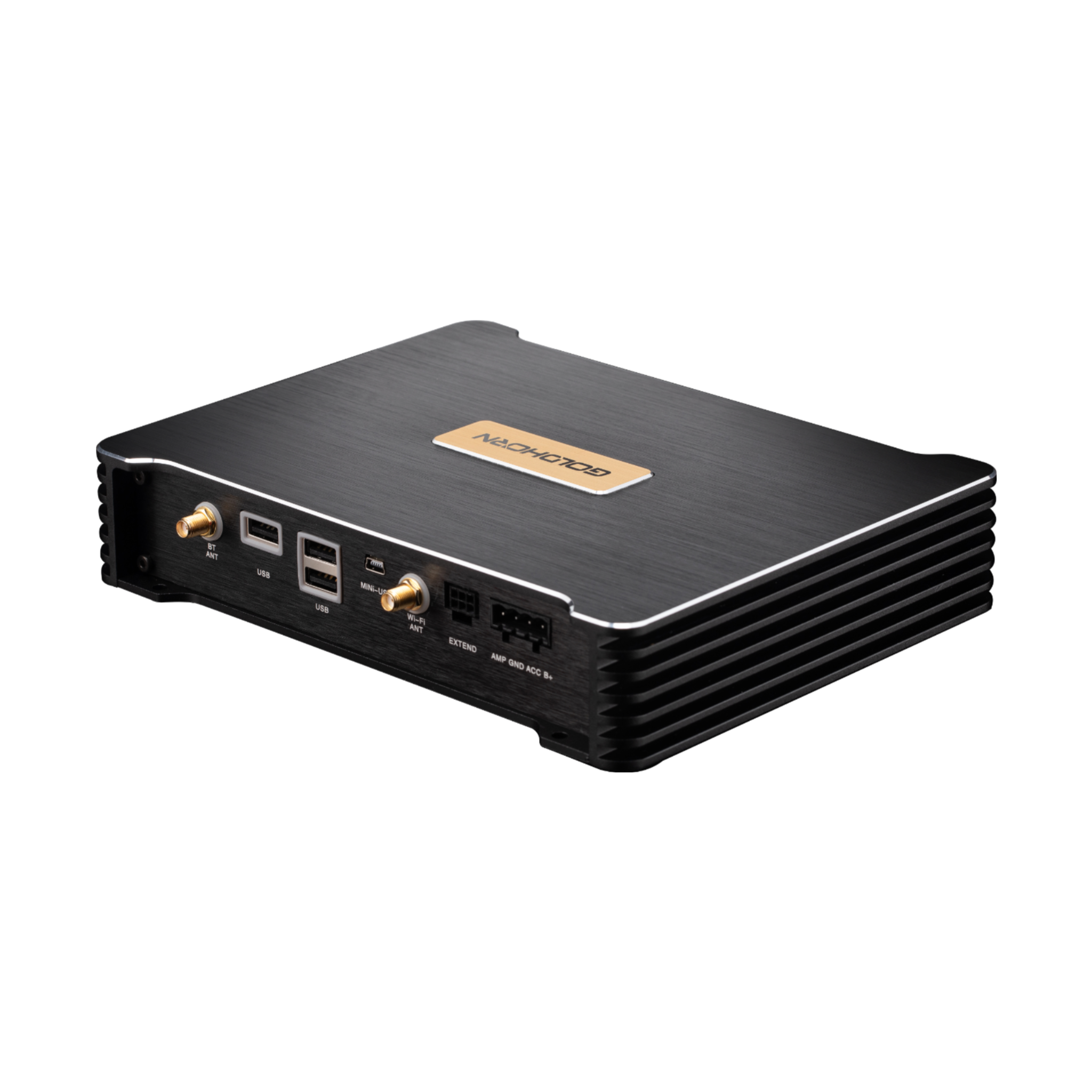 Goldhorn P3 Plus DSD player back angled view