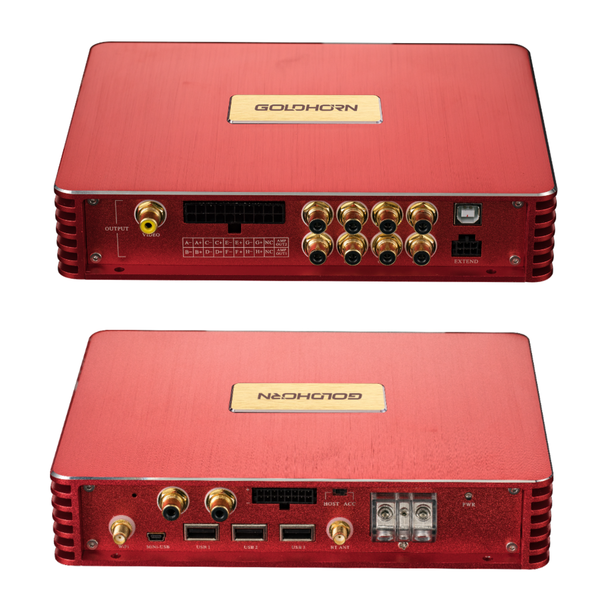 Goldhorn P2 DSPA Pro 16 channel DSD player and amplifier