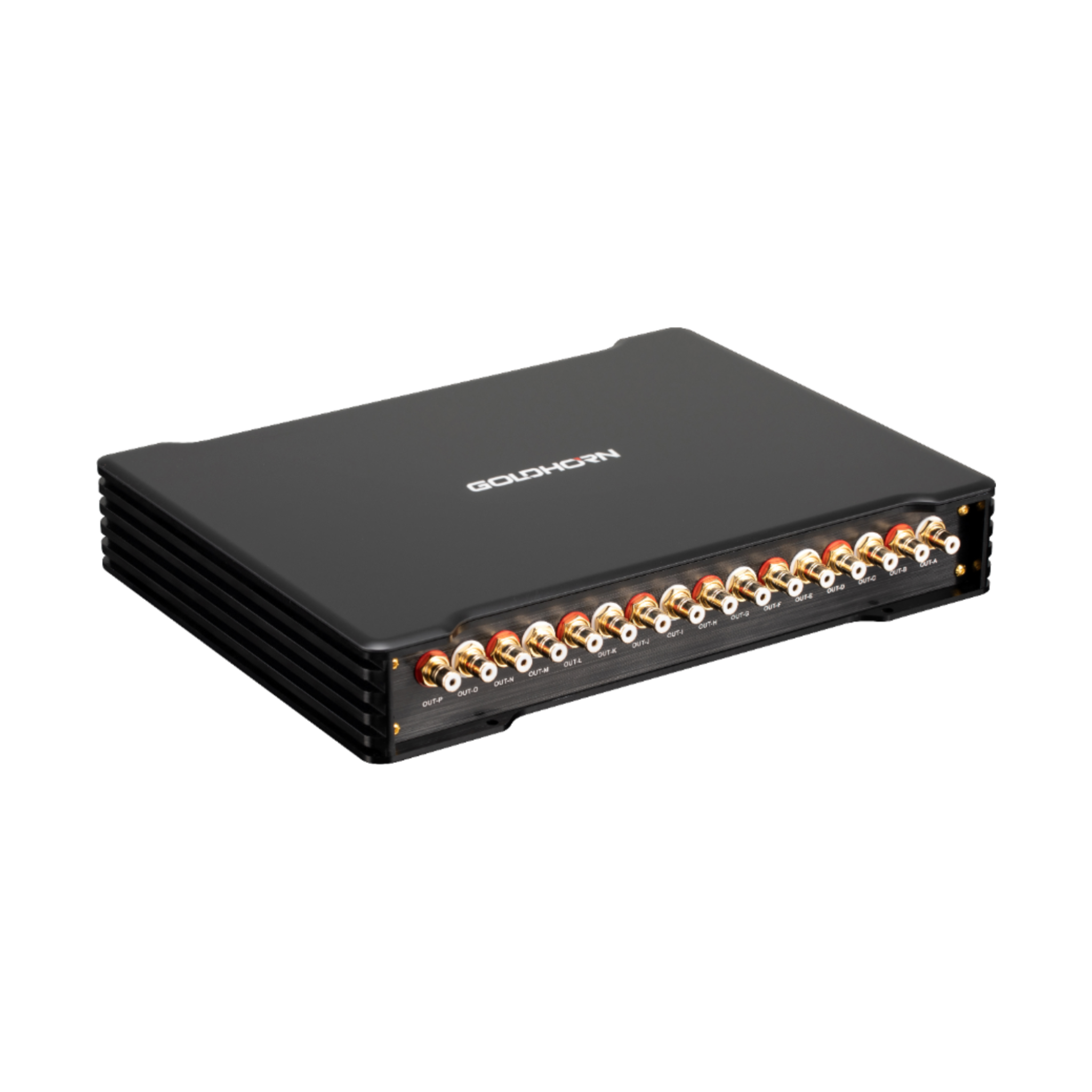 Goldhorn DSP16 Ultra 16-Channel DSP front view