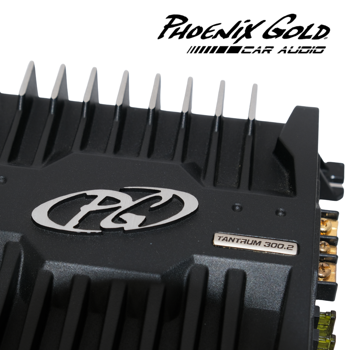 *RARE* 2000's Phoenix Gold Tantrum T300.2 Vintage Amplifier (NOS)