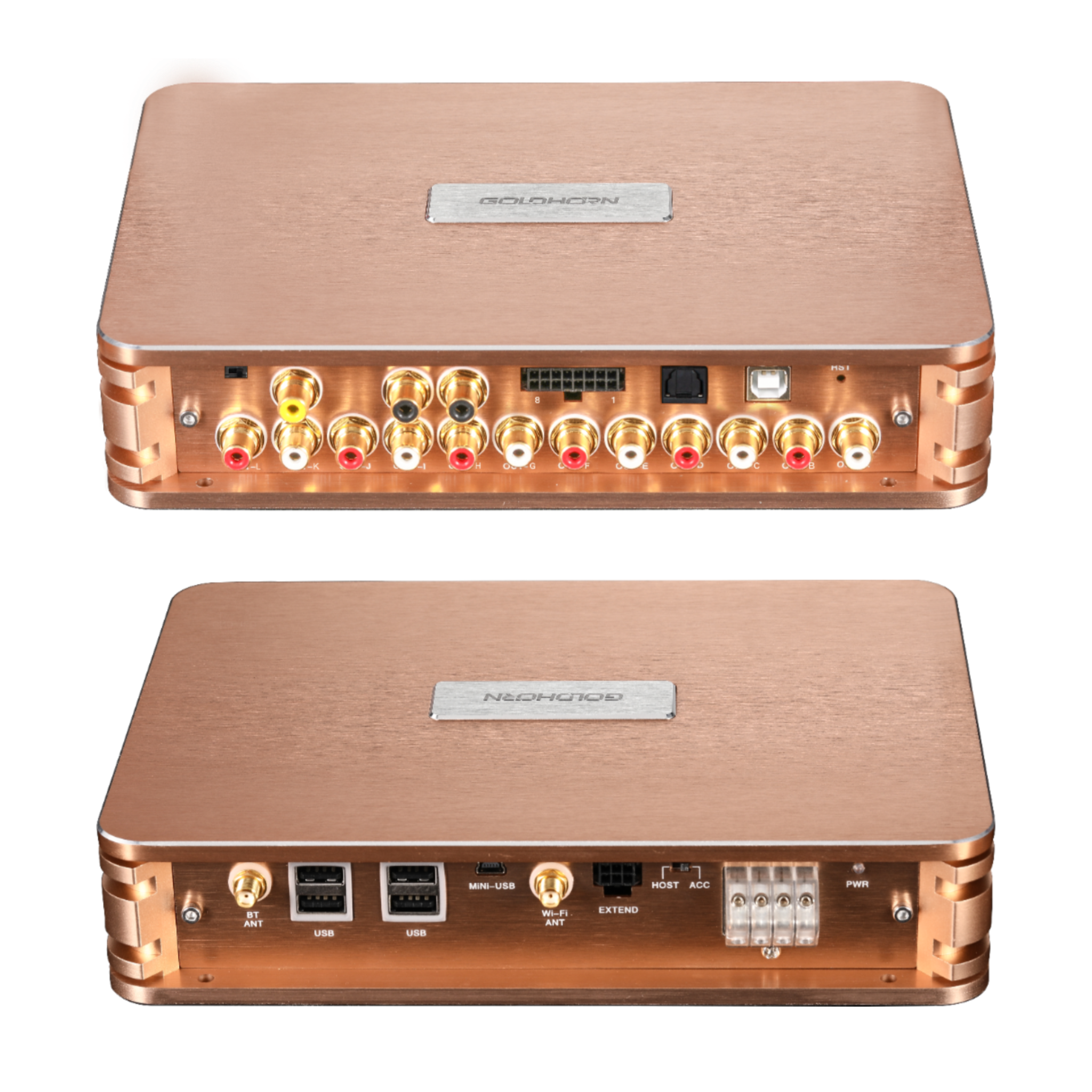 Goldhorn P2 DSP Pro V2.0 — 12 Channel DSP with Hi-Res DSD Player