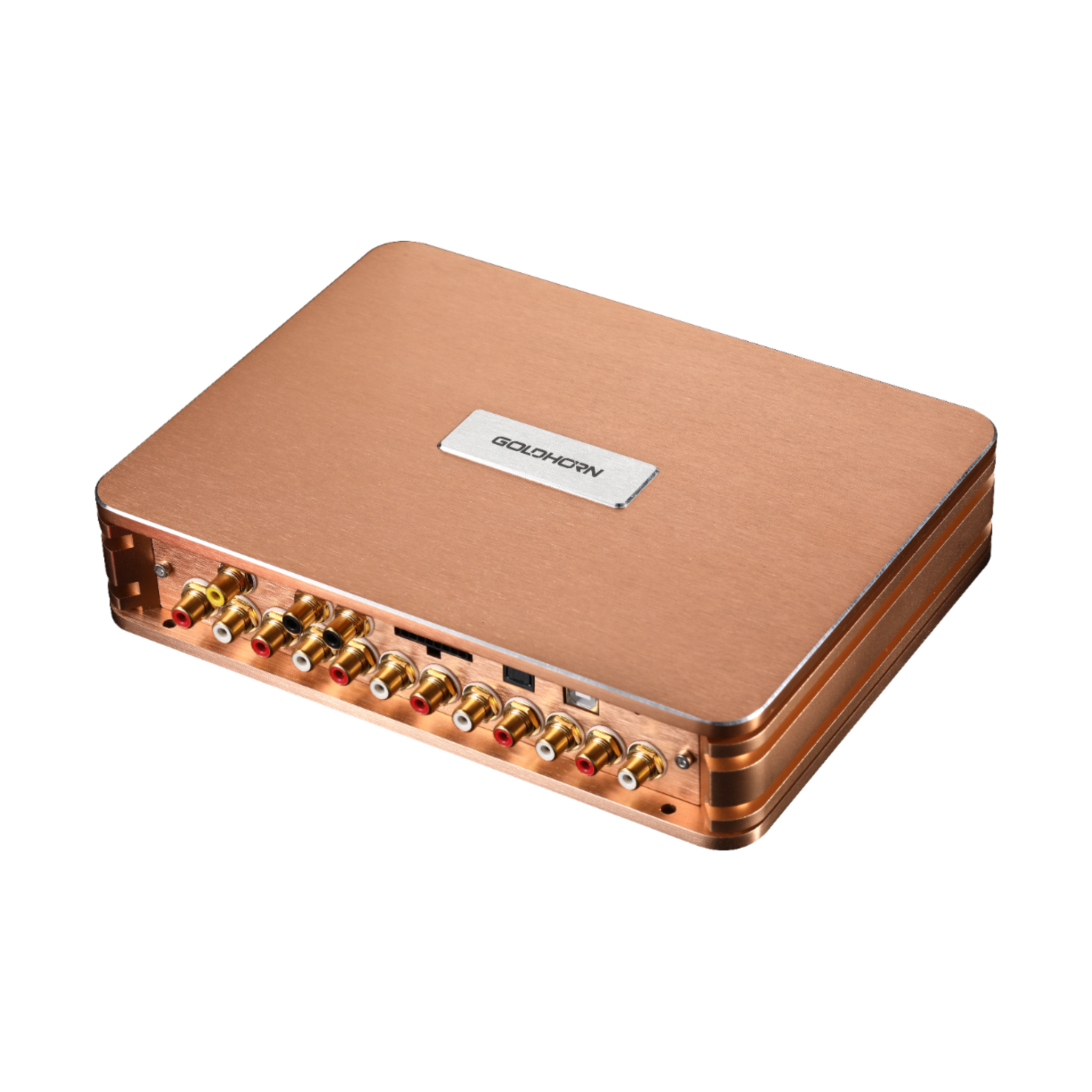 Goldhorn P2 DSP Pro V2.0 — 12 Channel DSP with Hi-Res DSD Player