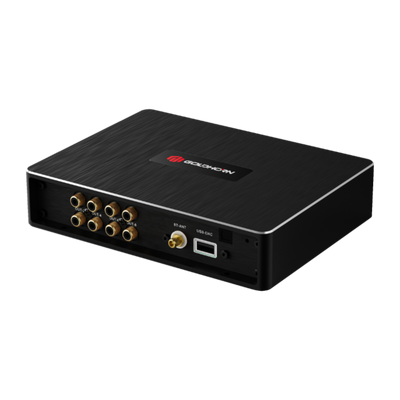 Goldhorn P1 DSP —   8 Channel DSP with Hi-Res   DSD   Player