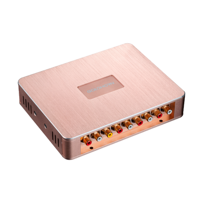 Goldhorn P1 DSPA DSD player with DSP amplifier top view