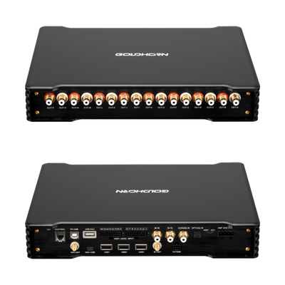 Goldhorn P5 DSP Ultra 16 channel DSD player and DSP