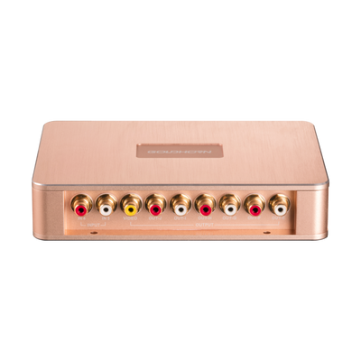 Goldhorn P1 DSPA DSD player with DSP amplifier front