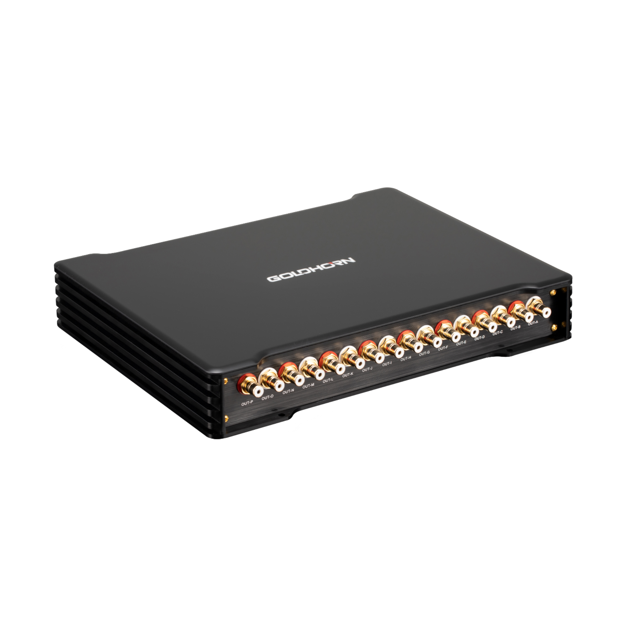 Goldhorn P5 DSP Ultra DSD player and DSP front angled view