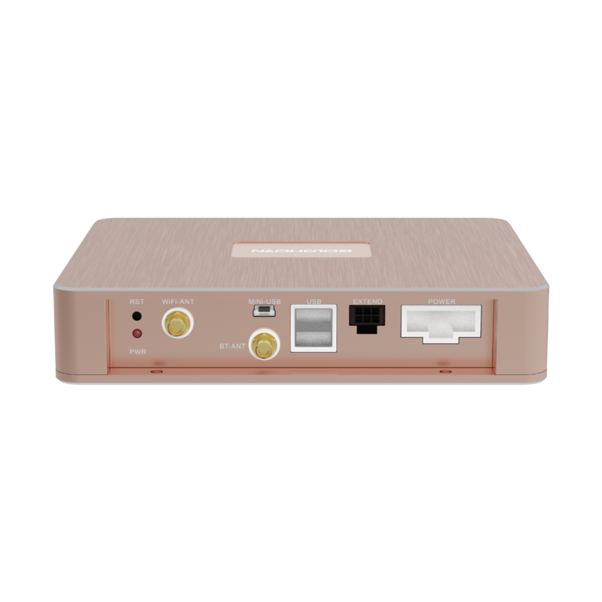 Goldhorn P1 DSD player back view