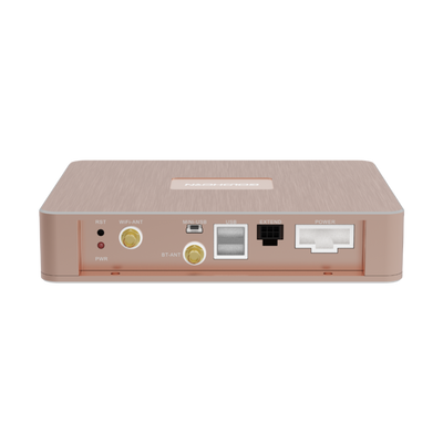 Goldhorn P1 DSD player back view