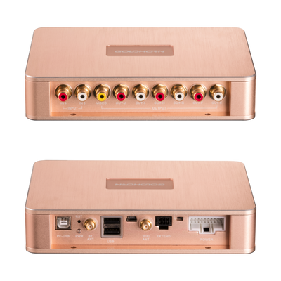 Goldhorn P1 DSPA DSD player with DSP amplifier