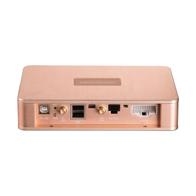 Goldhorn P1 DSPA DSD player with DSP amplifier back
