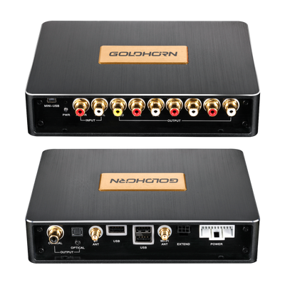 Goldhorn P2 Pro DSD player