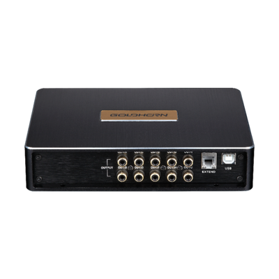 Goldhorn DSP10 10 channel DSP front view