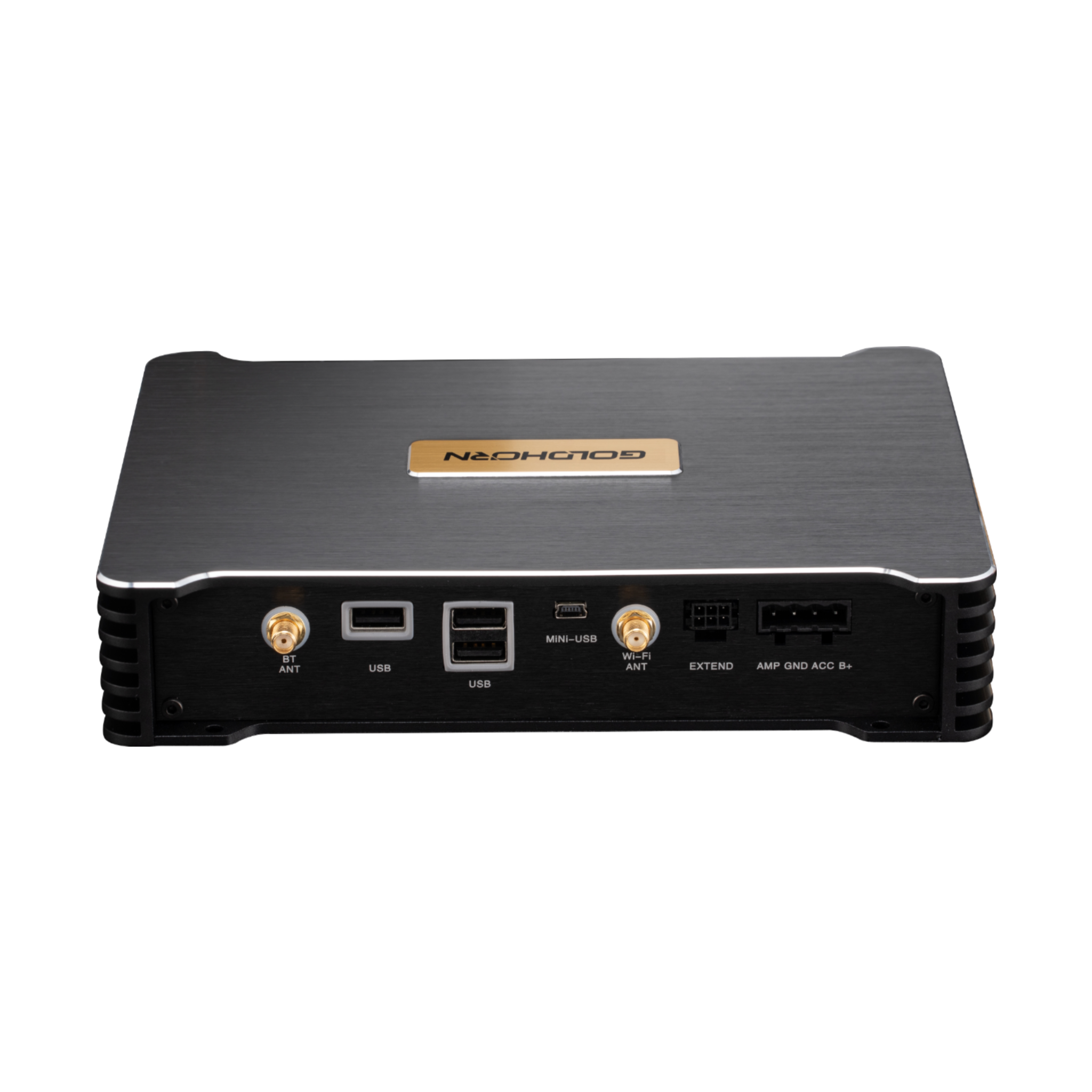 Goldhorn P3 Plus DSD player back view