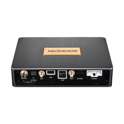 Goldhorn P2 Pro DSD player back view