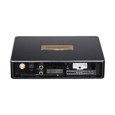 Goldhorn DSP10 10 channel DSP back view