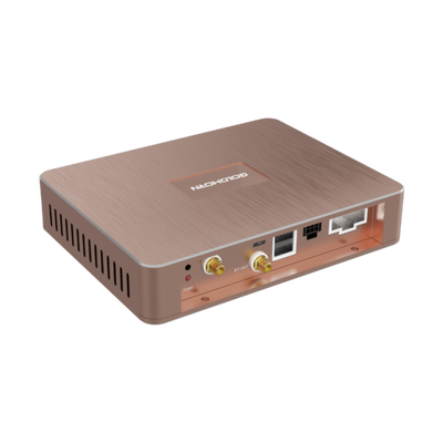 Goldhorn P1 DSD player angled view