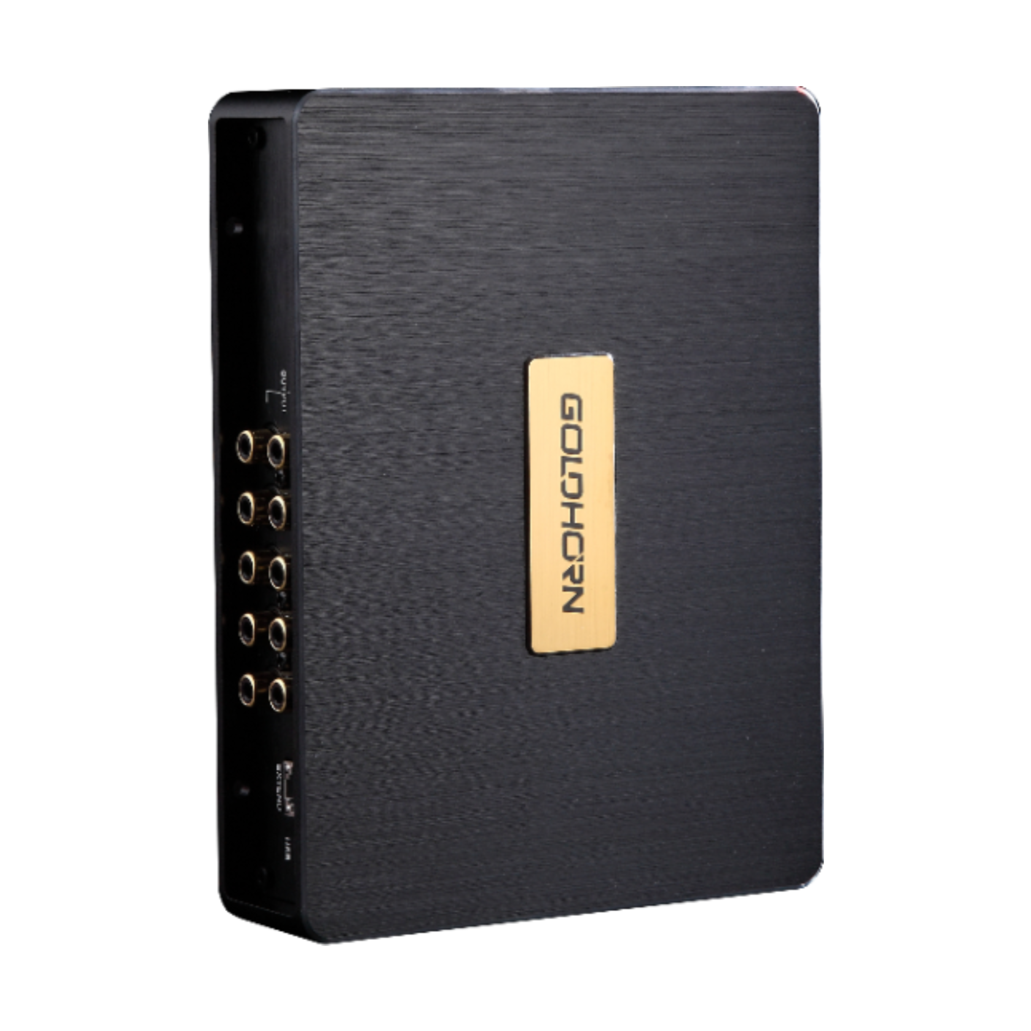 Goldhorn DSP10 10 channel DSP sideways