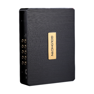 Goldhorn DSP10 10 channel DSP sideways