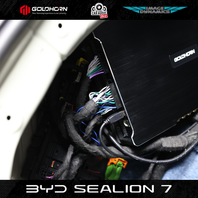 BYD SEALION 7 Dynaudio Reference UPGRADE+ PACKAGE (incl. Subwoofer)